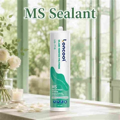 MS Polimero